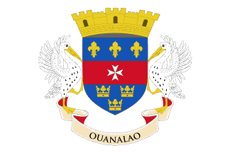 Flag of Saint Barthélemy