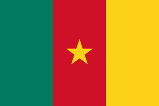 Flag of Cameroon