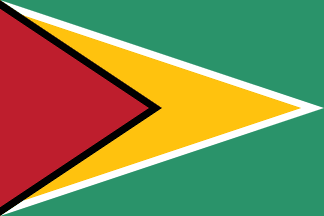 Flag of Guyana