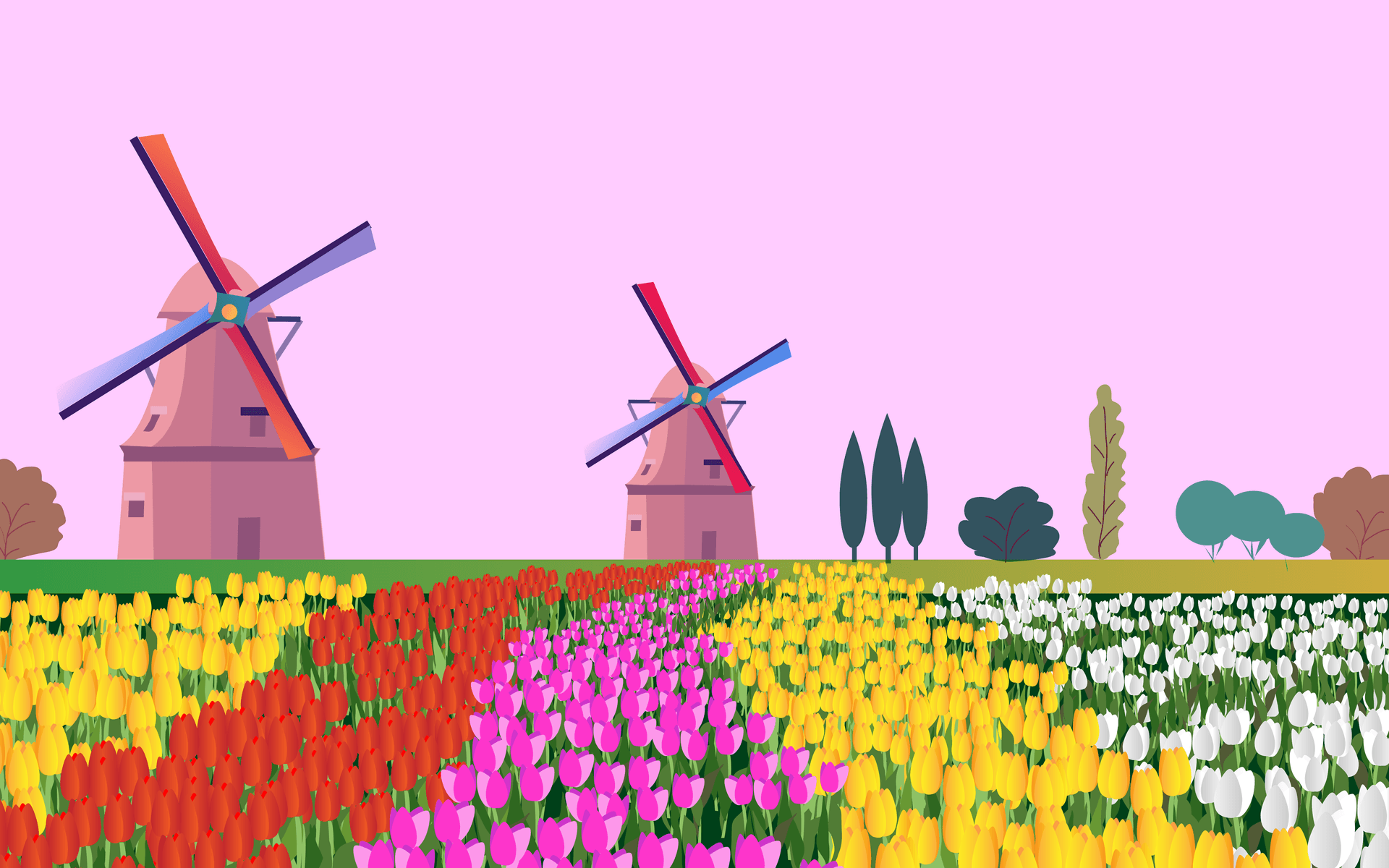 country image