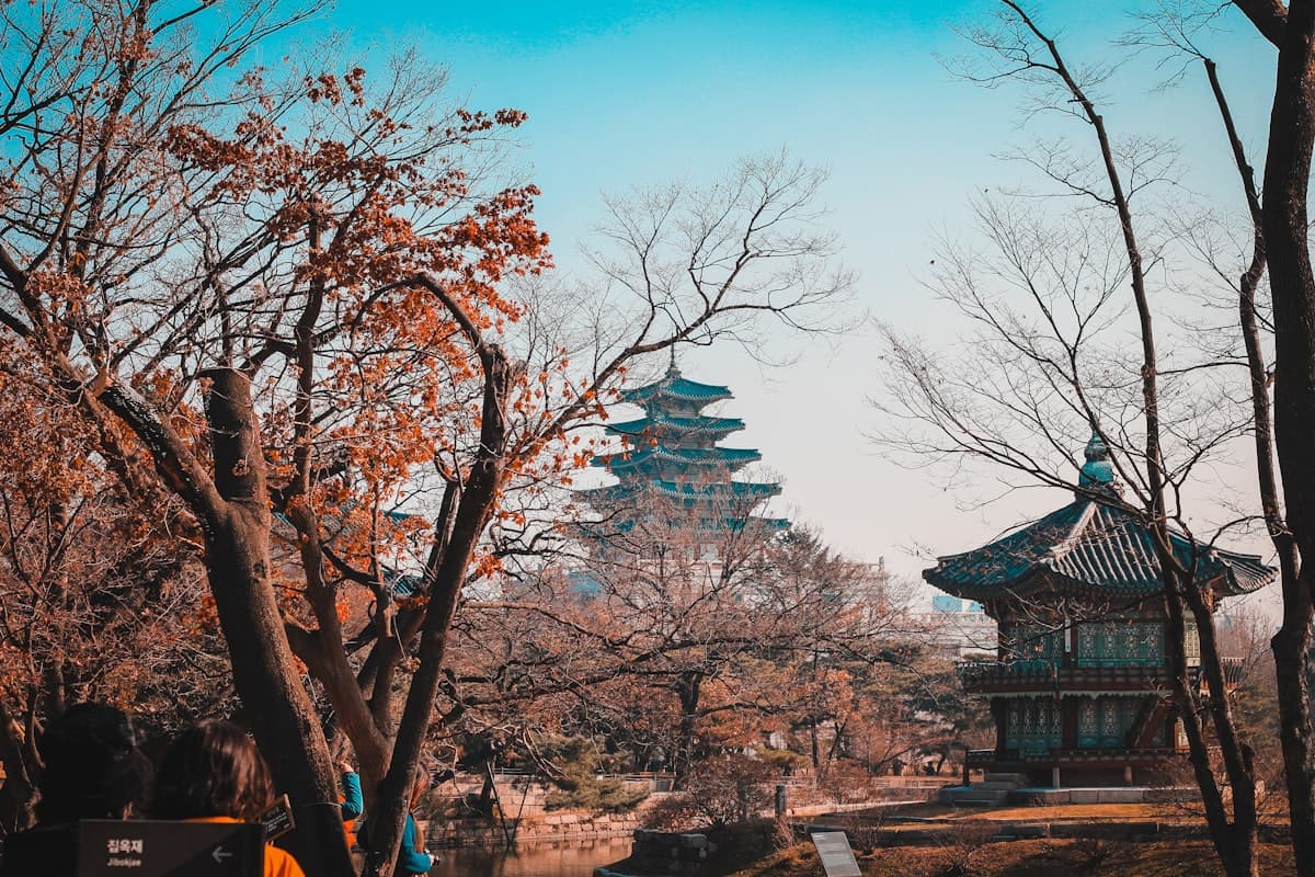 韓国の世界遺産17件【2025年最新登録】個人旅行で巡る厳選ガイド